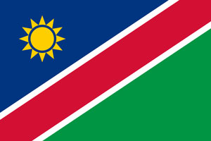 Honorary Consul of the Republic of Namibia in Kazan